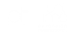 Punt Time